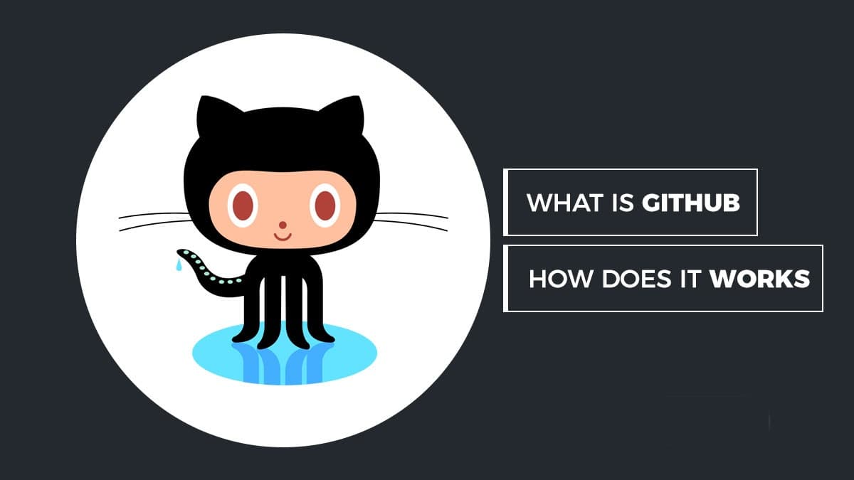 Git & Github: All you need to know
